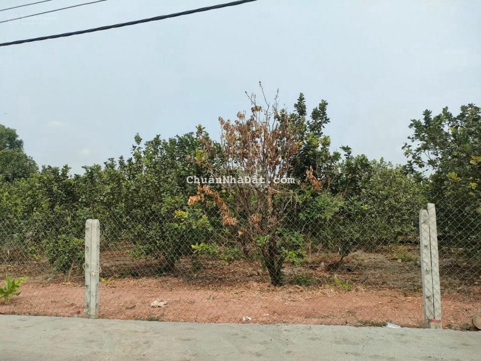 Bán đất Đồng Nai h.Trảng Bom DT 200m2 đất thổ cư giá 700 triệu,shr