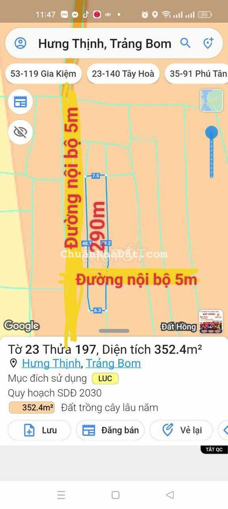 Lô đất SHR quy hoạch cay lâu năm 298m2 giá 239tr