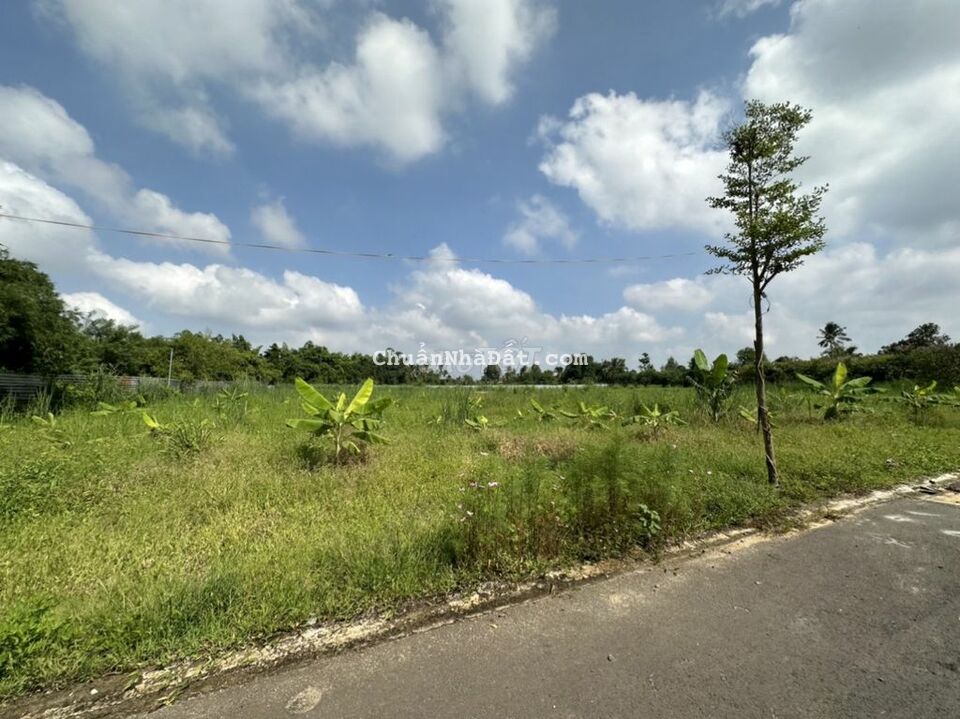 đang cần tiền bán gắp đất thổ cư  [ 319m2 thổ cư - giá 1ty2 đường 8m ]