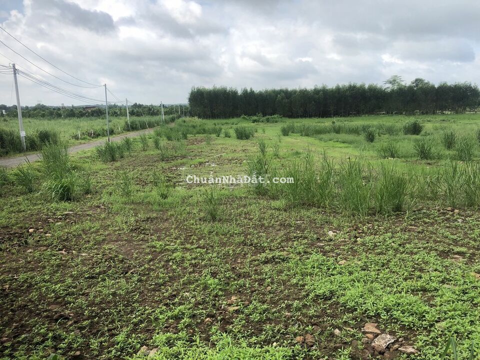 Bán đất Đồng Nai, Trảng Bom DT 479m2, mặt tiền đường Sông Thao, shr