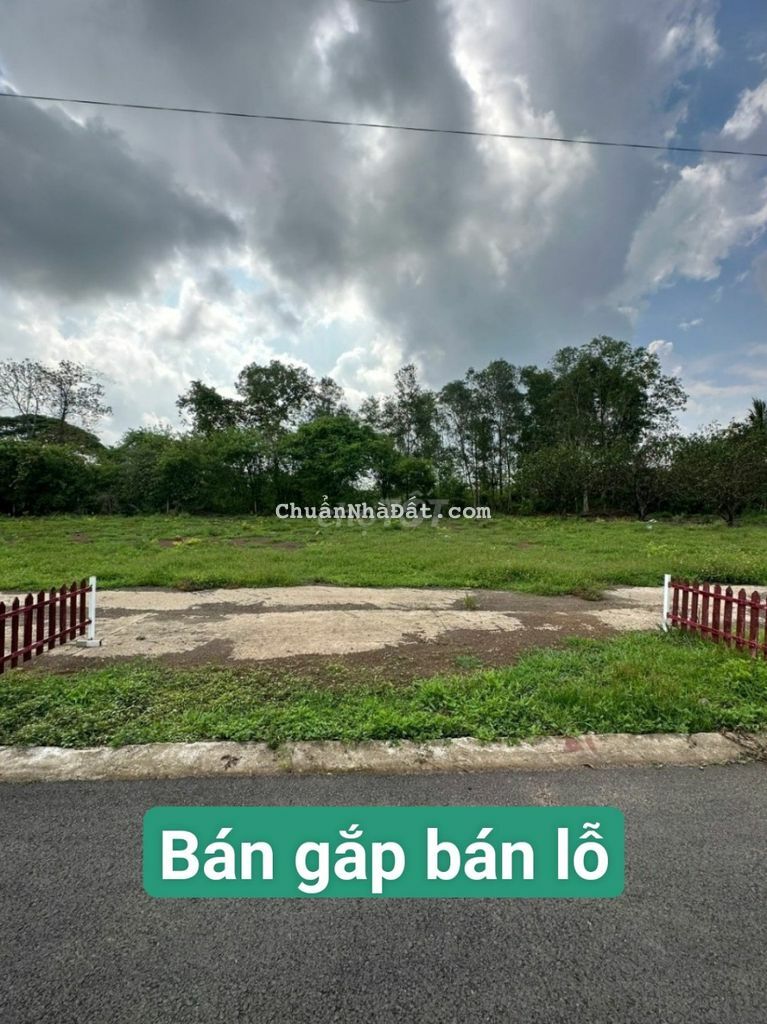 BÁN ĐẤT THỔ CƯ ĐỒNG NAI GIẢ RẺ GIÁ DƯỚI 500TR TRẢNG BOM ĐỒNG NAI