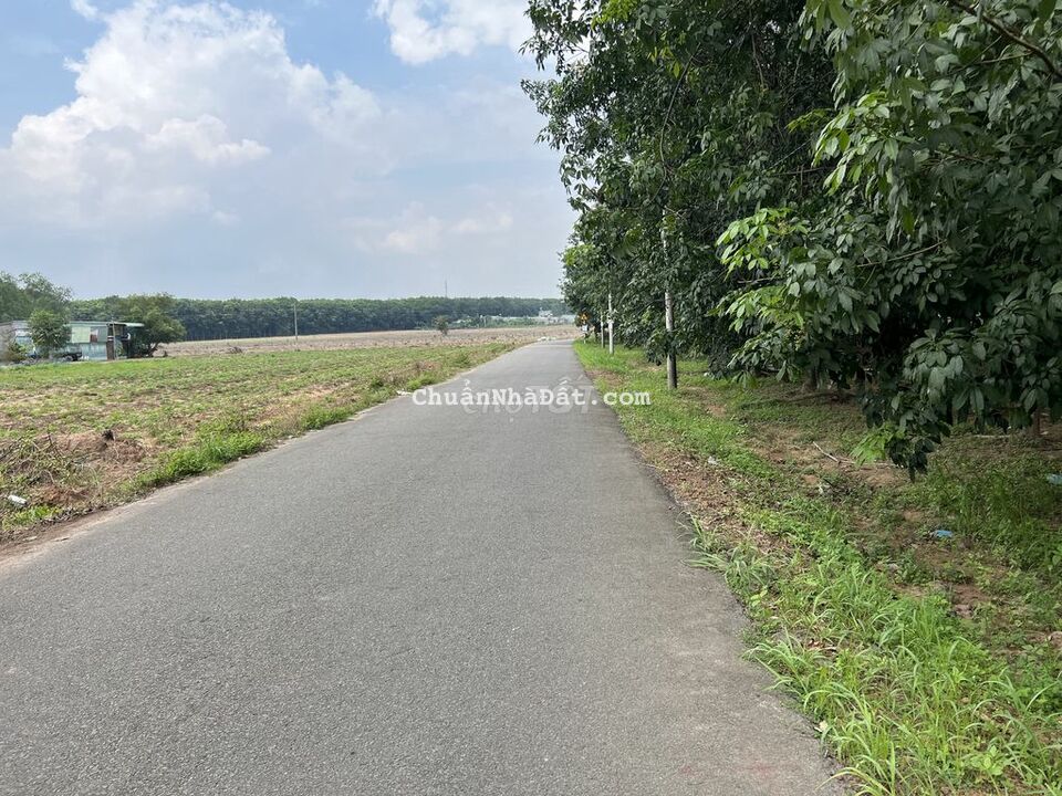 Bán đất mặt tiền an viễn trảng bom sổ riêng thổ cư Bán đất mặt tiền an viễn trảng bom sổ riêng thổ cư