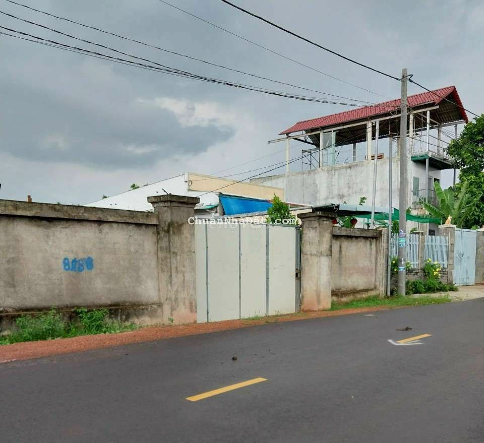 Gần 1000m2 phủ hồng, 13,5m MT nhựa ngay Tây Hòa 5