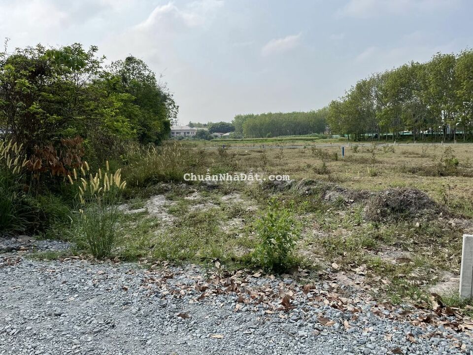 Trảng Bàng 6x55 HNK quyhoạch phủ hồng-Đầu tư CT Mộc Bài-420tr-Chủ ngợp Trảng Bàng 6x55 HNK quyhoạch phủ hồng-Đầu tư CT Mộc Bài-420tr-Chủ ngợp