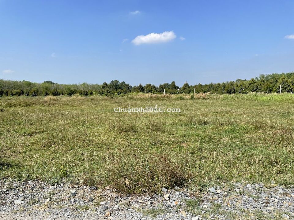 8x39 quy hoạch đất đô thị Trảng Bàng-Đầu tư CT Mộc Bài-470tr-Sổ sẵn 8x39 quy hoạch đất đô thị Trảng Bàng-Đầu tư CT Mộc Bài-470tr-Sổ sẵn