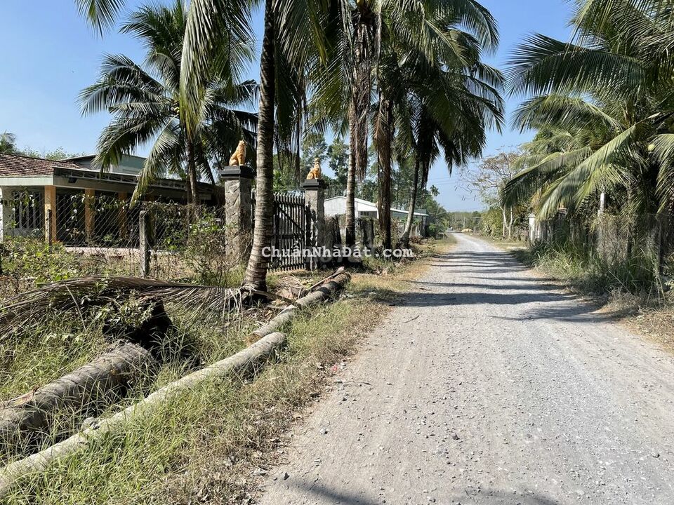 8*40 đất Trảng Bàng-QH thổ cư-Gần Cao tốc-470tr 8*40 đất Trảng Bàng-QH thổ cư-Gần Cao tốc-470tr