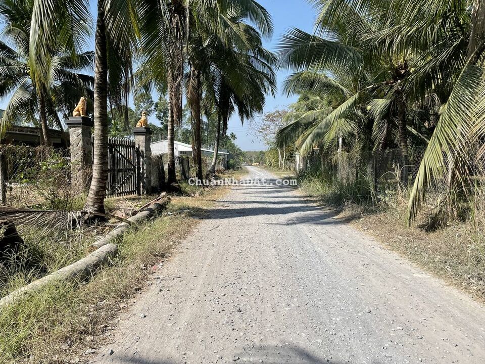 8x39 quy hoạch đất đô thị Trảng Bàng-Đầu tư CT Mộc Bài-470tr-Sổ sẵn 8x39 quy hoạch đất đô thị Trảng Bàng-Đầu tư CT Mộc Bài-470tr-Sổ sẵn