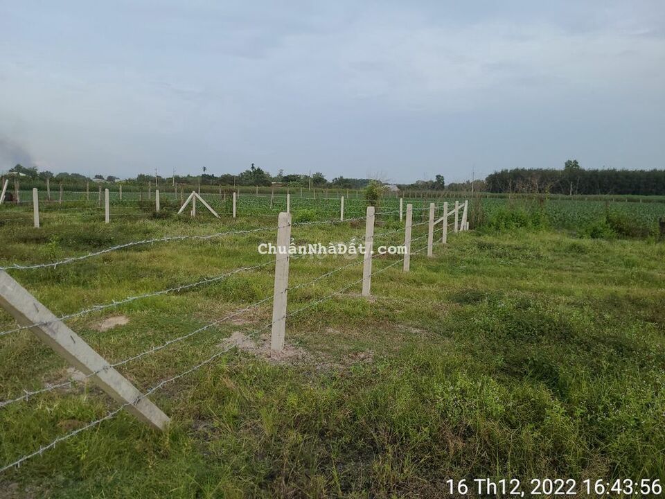 Đất thị xã Trảng Bàng. View kênh lớn, Hơn 13m mặt tiền. lập vườn.