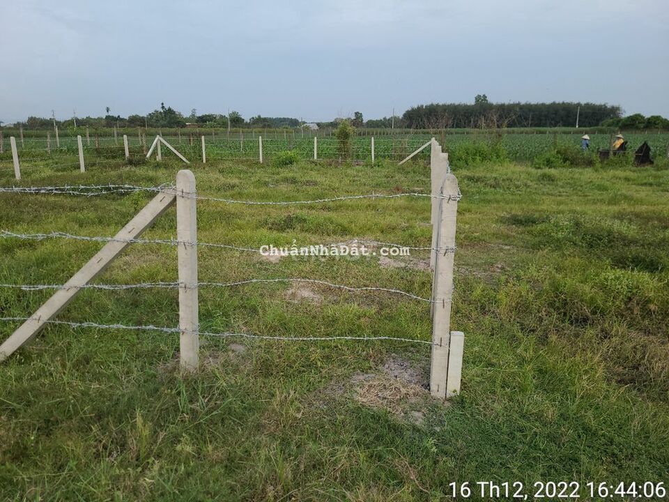 Đất thị xã Trảng Bàng. View kênh lớn, Hơn 13m mặt tiền. lập vườn.