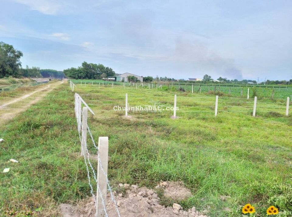 Đất thị xã Trảng Bàng. View kênh lớn, Hơn 13m mặt tiền. lập vườn.