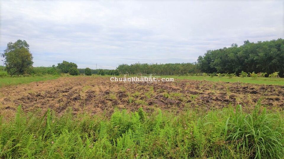 10*33m2 LUK-Giá rẻ1,6tr/m2-cặp hông KCN PHước Đông 10*33m2 LUK-Giá rẻ1,6tr/m2-cặp hông KCN PHước Đông