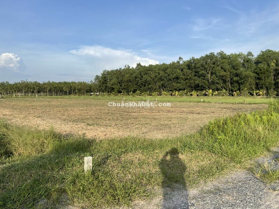 Phù hợp nhà vườn-10x36 đất Gia Lộc Trảng Bàng-đường ô tô-520tr