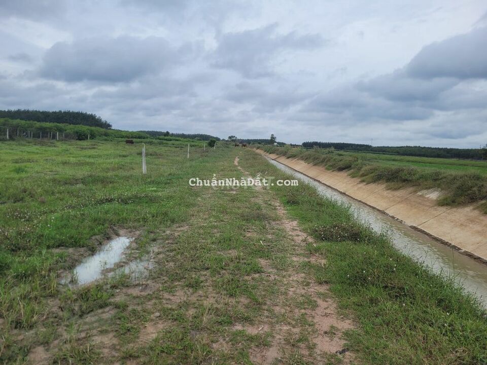 Hơn 364m2 HNK, Đất thị xã, 13,5m Mặt tiền kênh lớn. Chủ bán lỗ 750tr