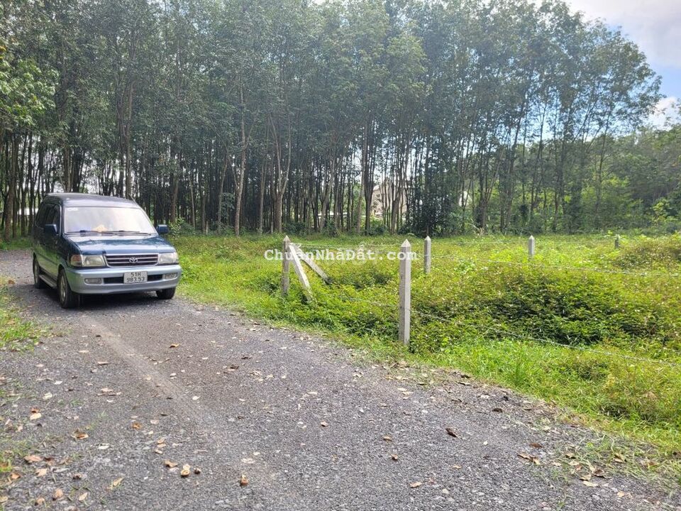 🔥Sau lưng Chợ Lộc Hưng, 7,8x49m sổ hồng riêng, Ông anh Ngộp, chỉ 860tr