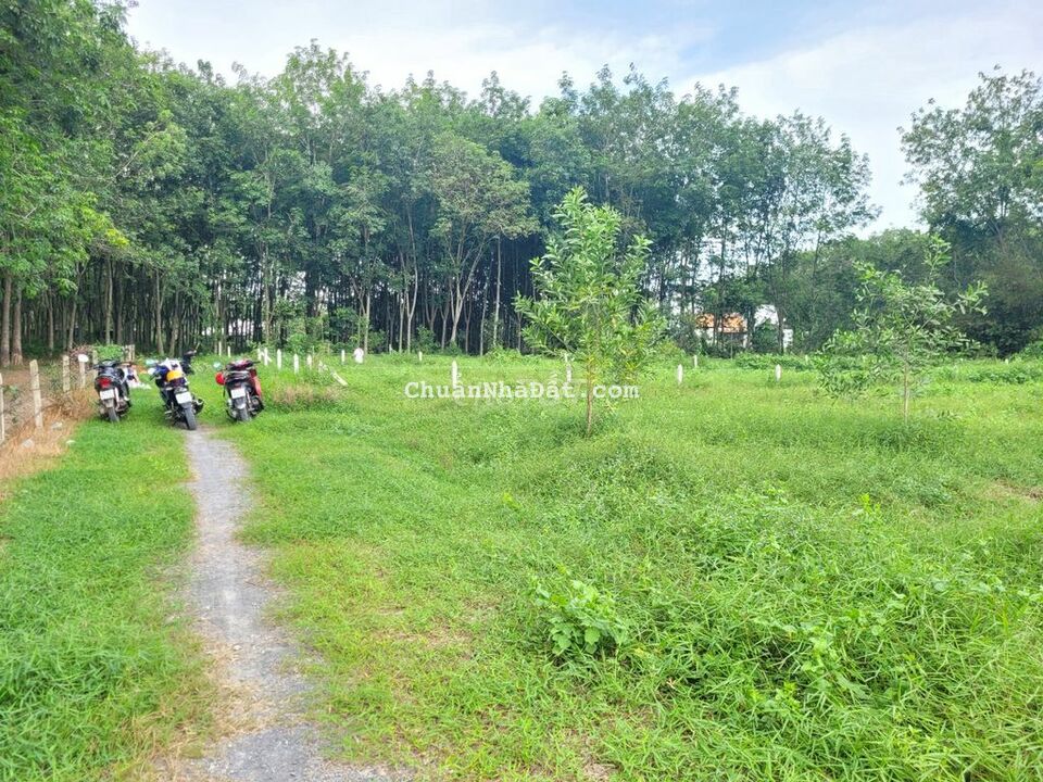 Gần 8m mặt tiền, Hậu dài. Hơn 409m2 đất TX Trảng Bàng, nở hậu. 860tr