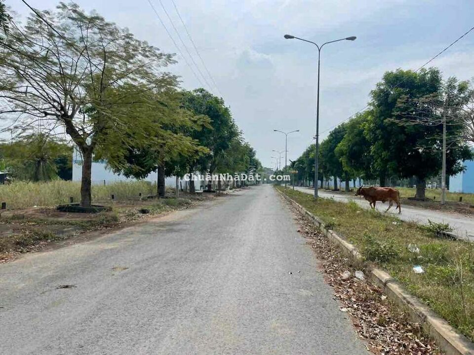 Bán Đất Mặt Tiền Đường Số 1 Khu Đô Thị Ven Sông Vàm Cỏ Đường Đôi Bán Đất Mặt Tiền Đường Số 1 Khu Đô Thị Ven Sông Vàm Cỏ Đường Đôi