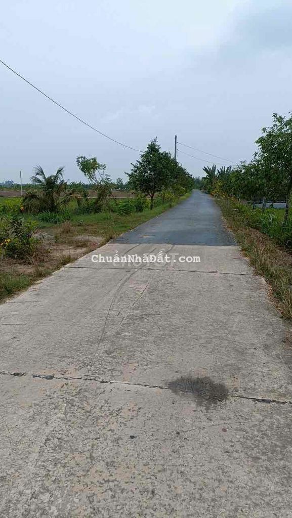 mua giá này 1 năm trước rồi. 180mv thổ đường nhựa