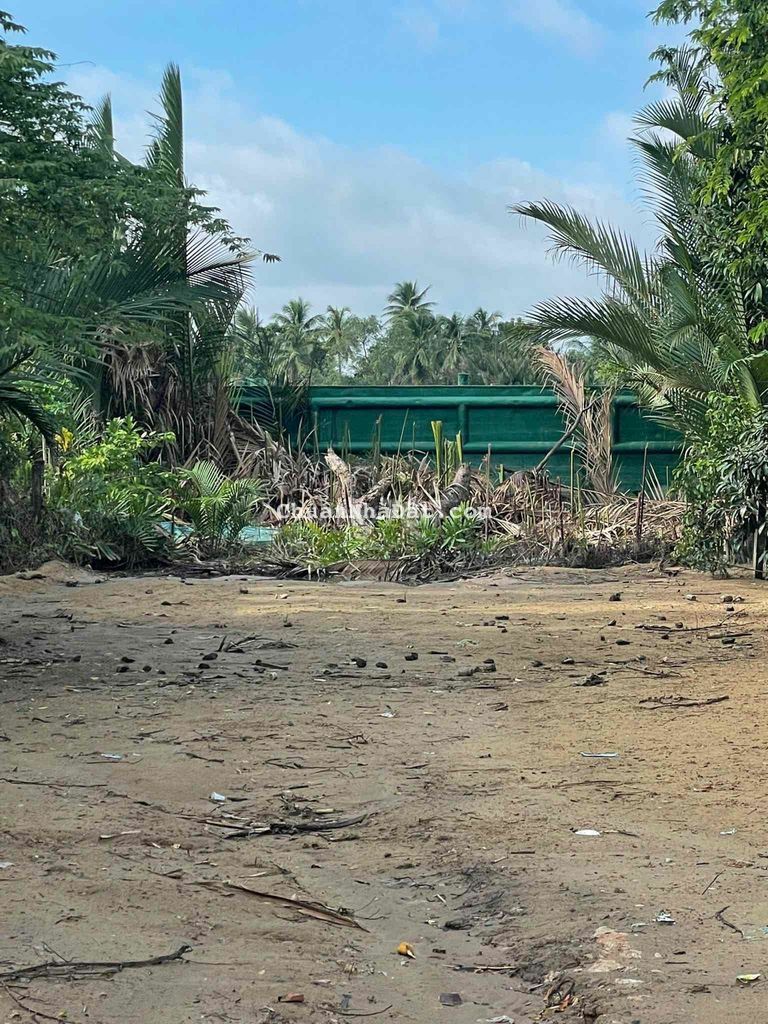 Mặt Sông Vàm Cỏ Và Mặt Tiền Nhựa Trần Minh Châu Full Thổ Đất ODT