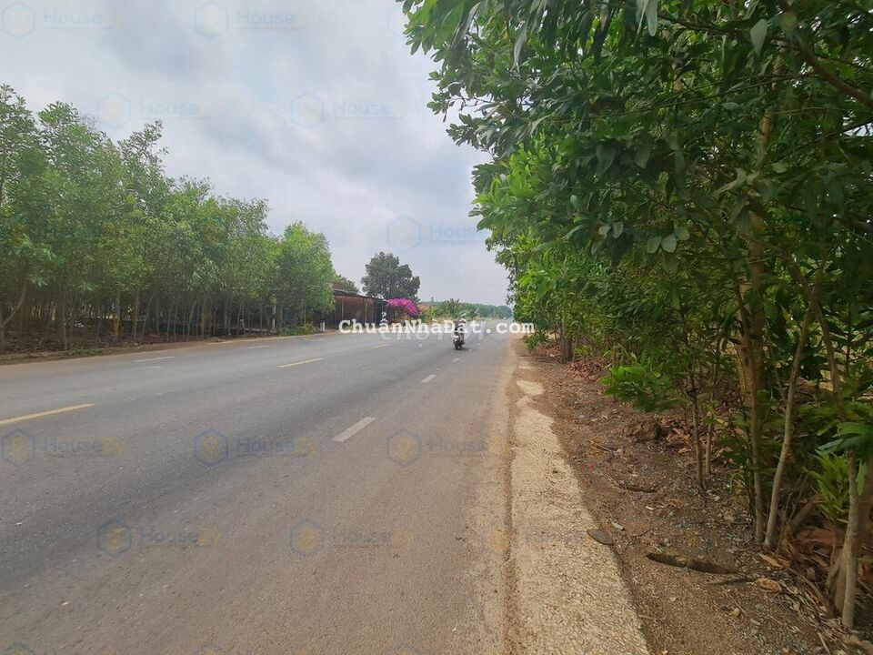 ĐẤT MẪU CÓ THỔ, MT DT793 TẶNG NHÀ CẤP 4, TÂN BIÊN