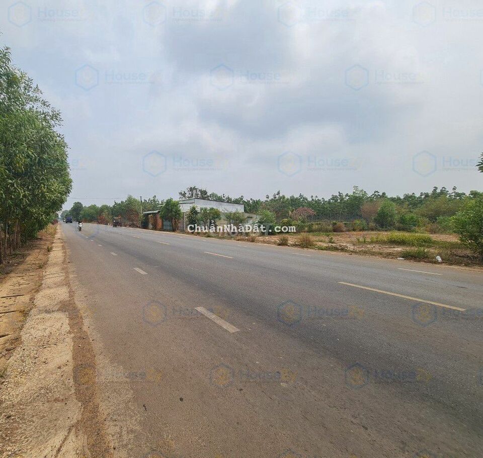 ĐẤT MẪU CÓ THỔ, MT DT793 TẶNG NHÀ CẤP 4, TÂN BIÊN