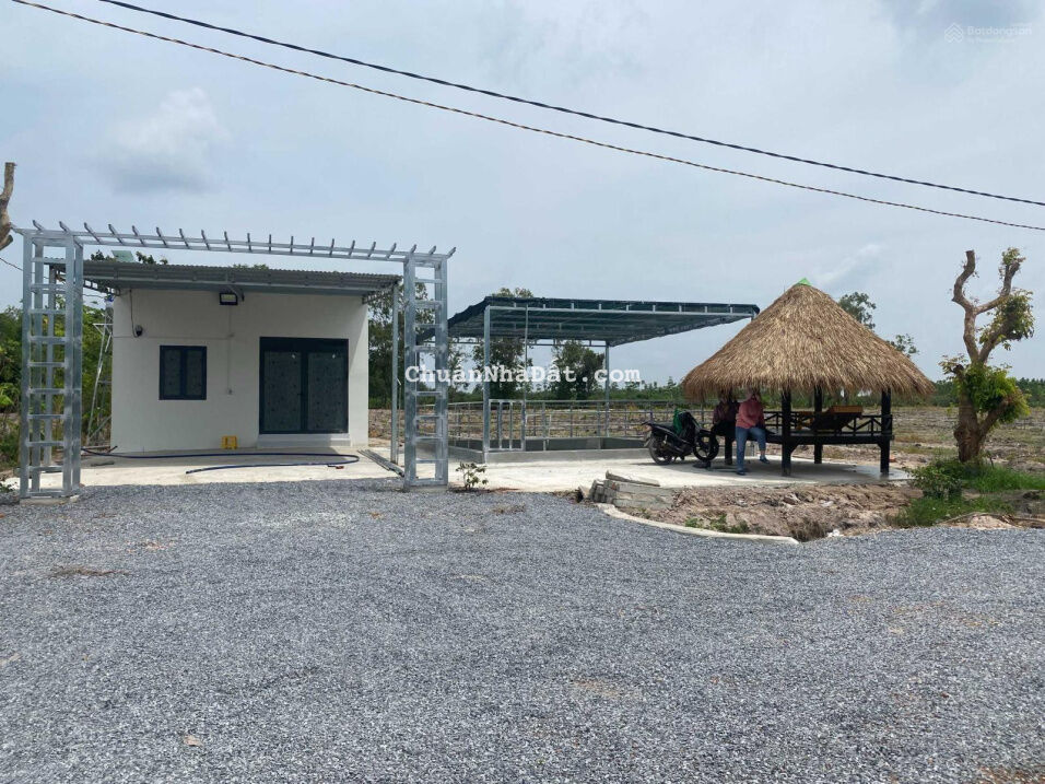 Cần tiền sang nhượng gấp vườn mít đỏ, hơn 1000m2/ 515tr, Tân Châu Tây Ninh, công chứng ngay