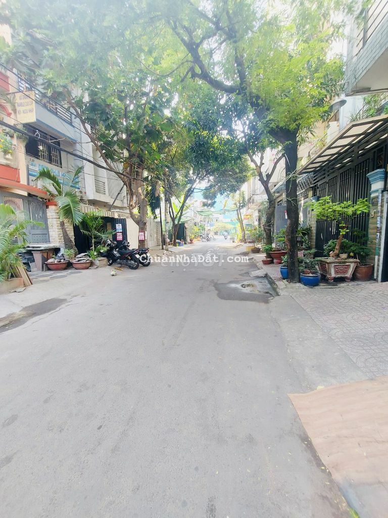 ✅✅ĐẤT XÂY BIỆT THỰ - ĐƯỜNG THÔNG 10M: TÂN HƯƠNG (8MX21M)