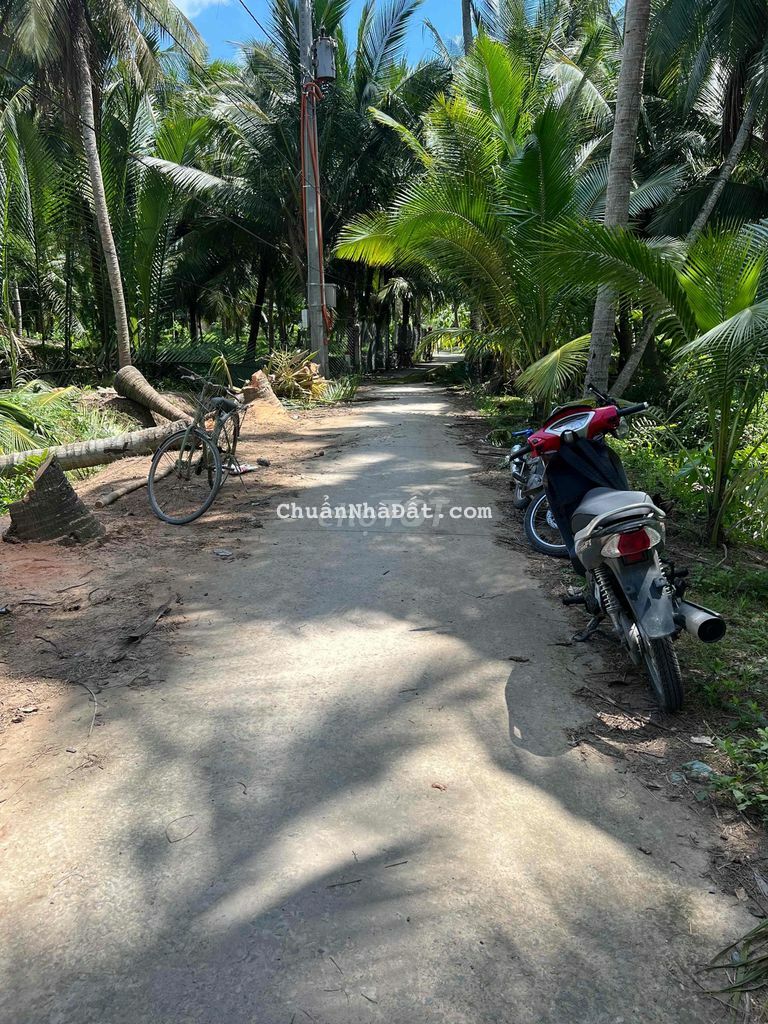 Đất Nền 185m2 (5X37) MT Xe Hơi Xã Tân Thới