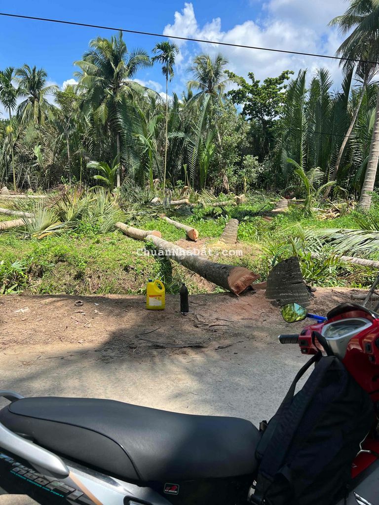 Đất Nền 185m2 (5X37) MT Xe Hơi Xã Tân Thới