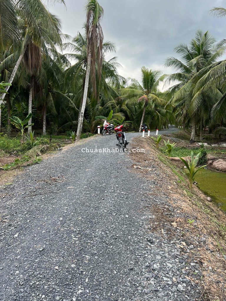 Đất Vườn 2009m2 MT Đá 4m+Wiev Sông Tiền Xã Tân Thới