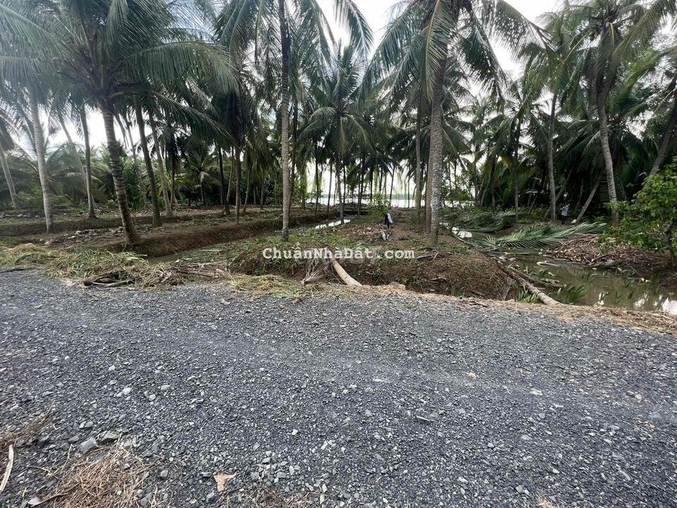 Đất Vườn 2009m2 MT Đá 4m+Wiev Sông Tiền Xã Tân Thới