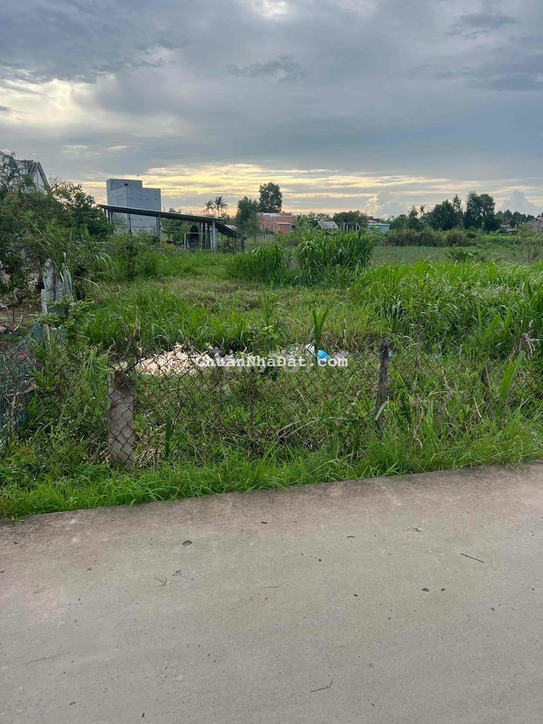 Đất Nền 200m2 Có 100m2 TC MT Đan 4m Xã Phú Thạnh