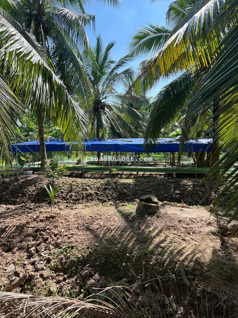 Đất Vườn 3000m2 Với Nhà Giá 1ty4  Xã Tân Thới