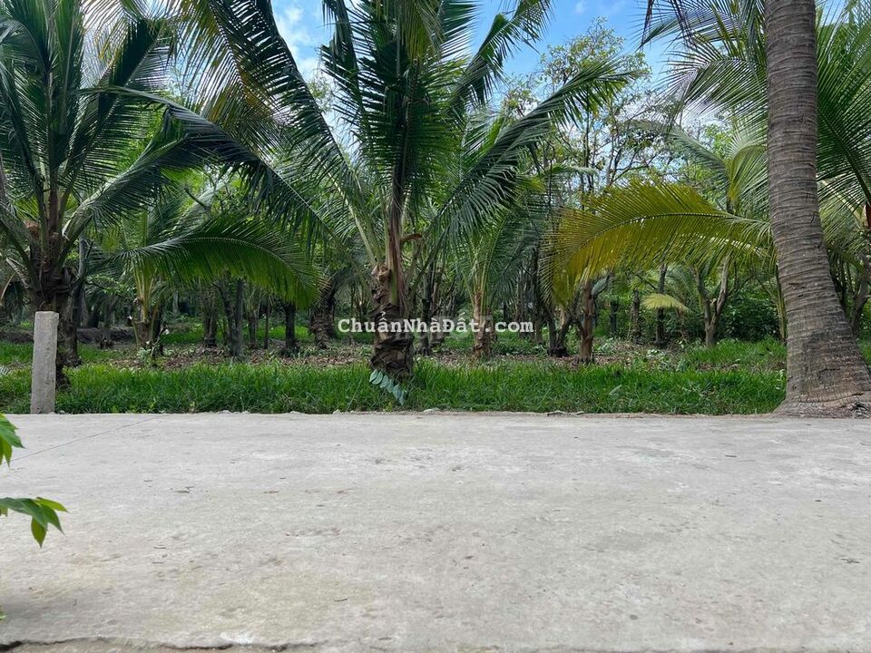 Đất Nền 400m2(8x50) MT Xe Hơi Xã Tân Phú