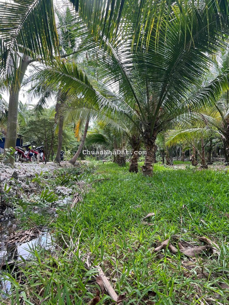 Đất Nền 400m2(8x50) MT Xe Hơi Xã Tân Phú