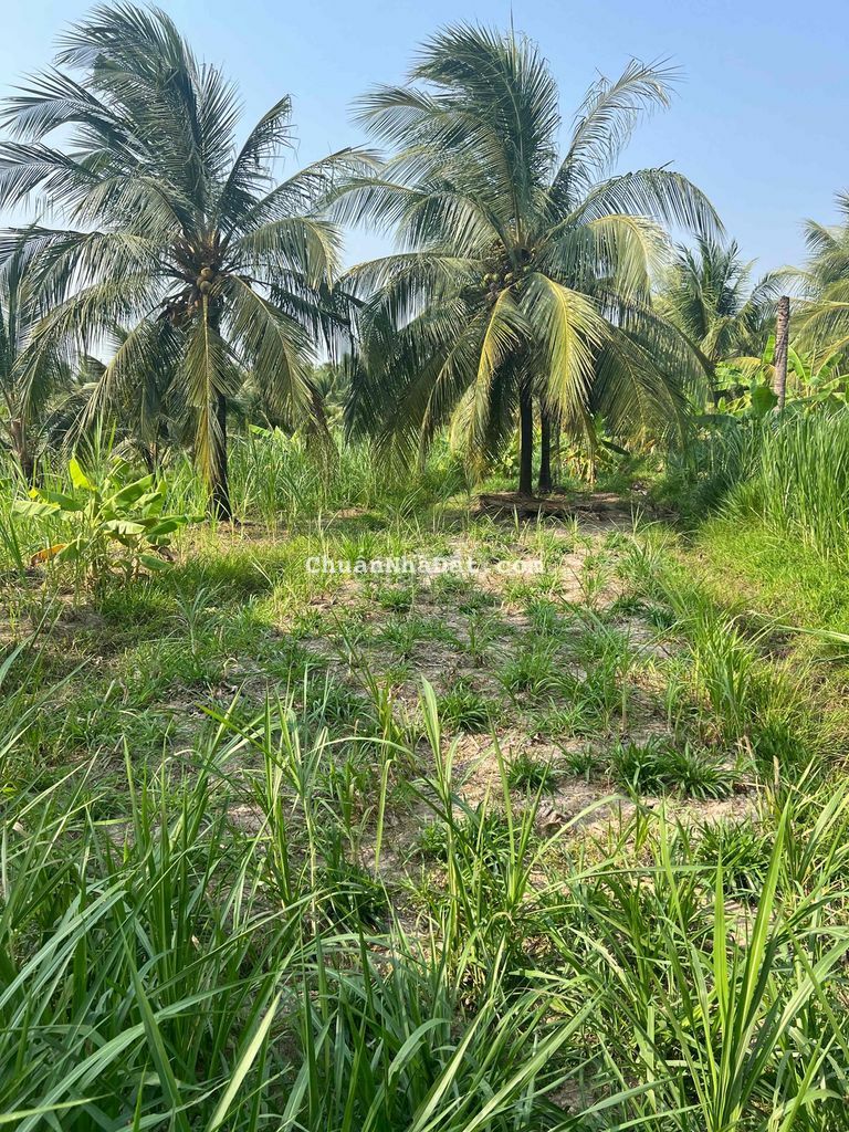 Đất Nền 400m2(10x40) 2 MT Đường Xã Tân Phú