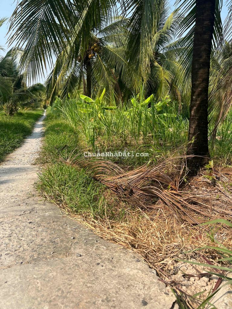 Đất Nền 400m2(10x40) 2 MT Đường Xã Tân Phú