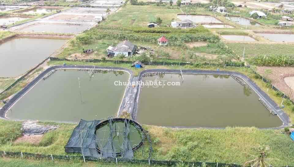 Đất Đầm 4500m2 Giá 900tr Xã Phú Đông