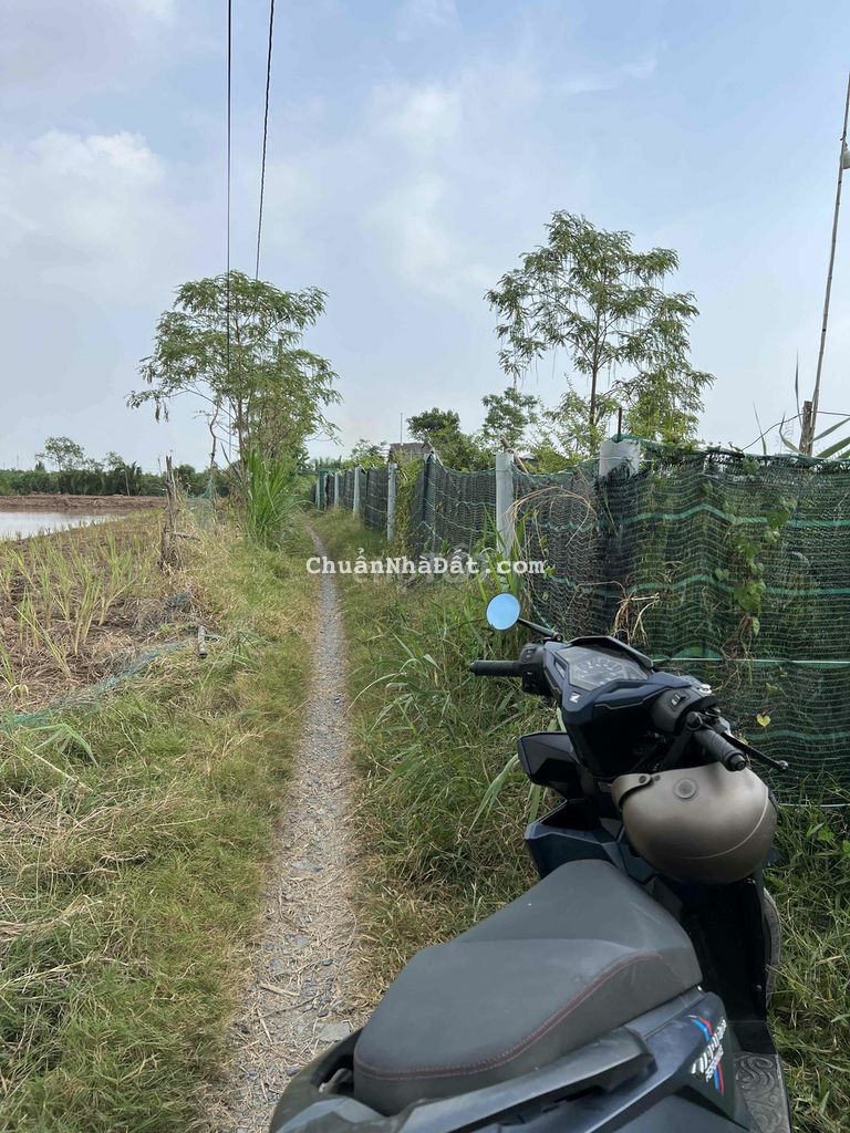 Đất Đầm 4500m2 Giá 900tr Xã Phú Đông