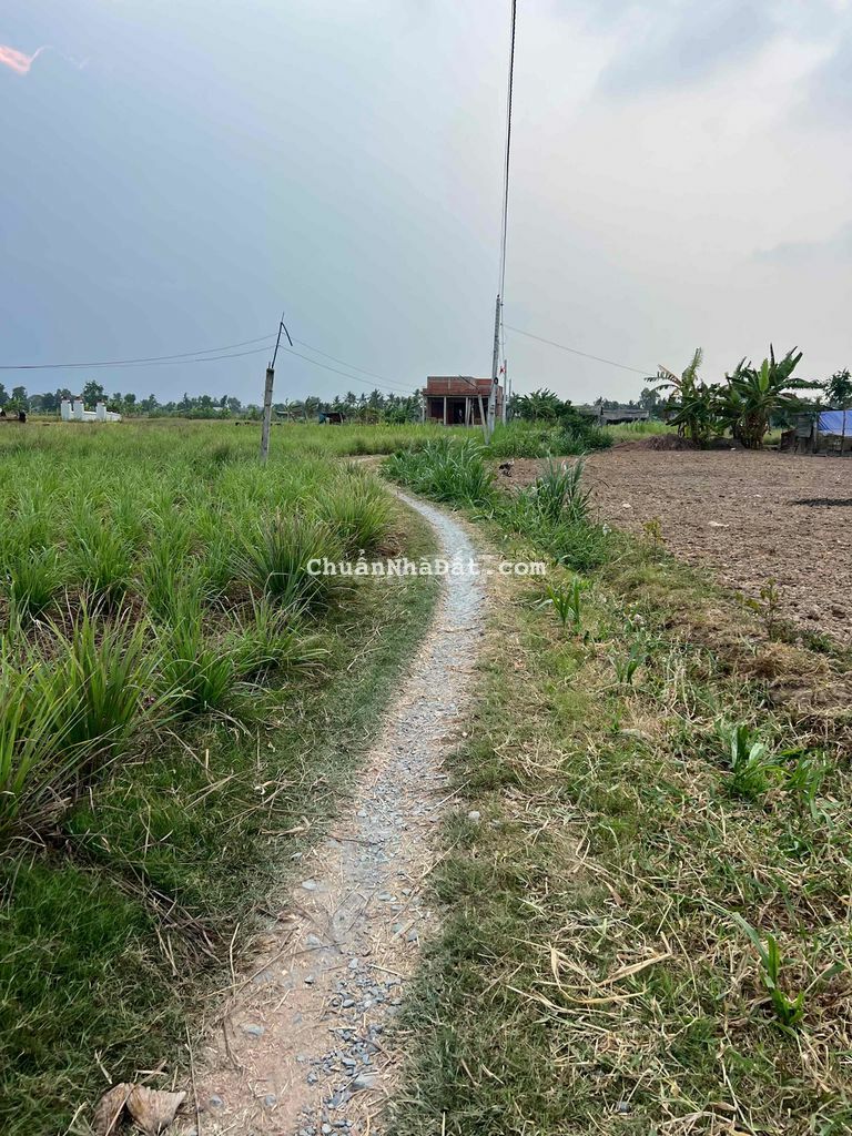 Đất Vườn 500m2 Giá 195tr Xã Phú Thạnh