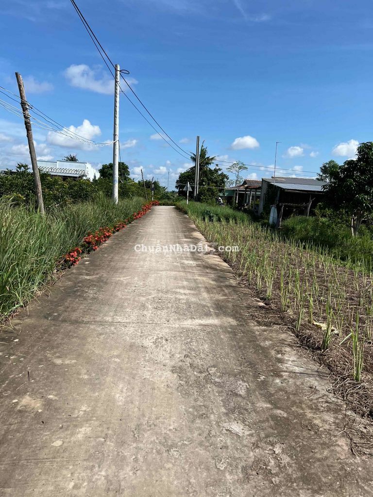 Đất Nền 500m2 Xe Hơi Giá 420tr TL