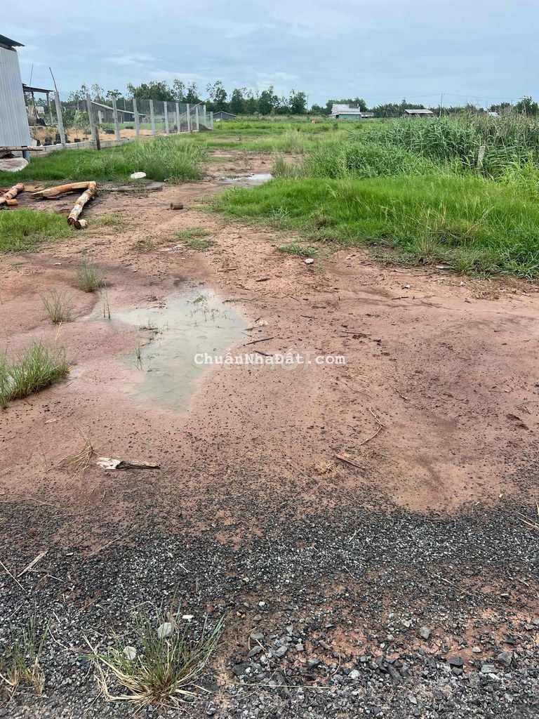 Đất Nền 560m2 (14x40) Xã Phú Đông