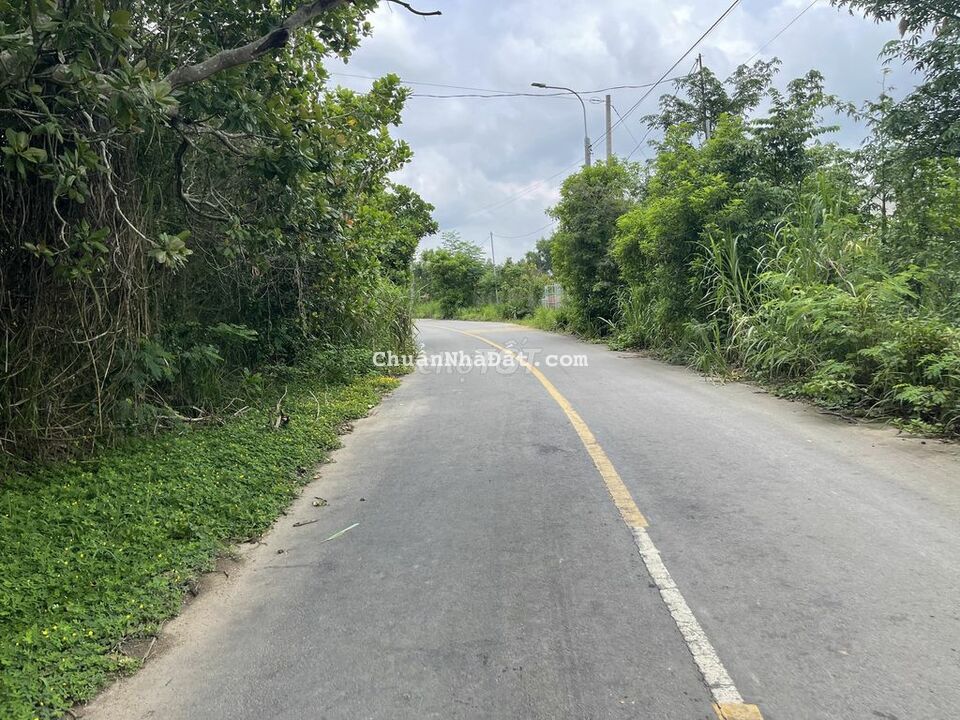 Đất 20 x 50 MT Phú Xuân  Núi Tượng - Huyện Tân Phú Chính chủ SHR