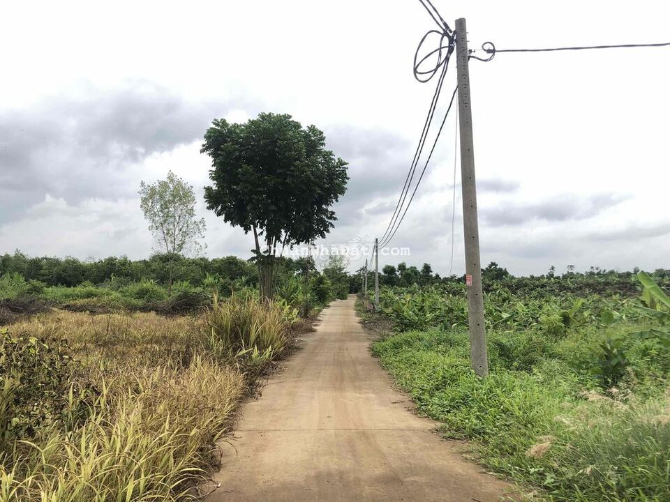 Đầu tư chỉ với 500tr có 1150m2 đất Tân Phú Đồng Nai ô tô vi vu