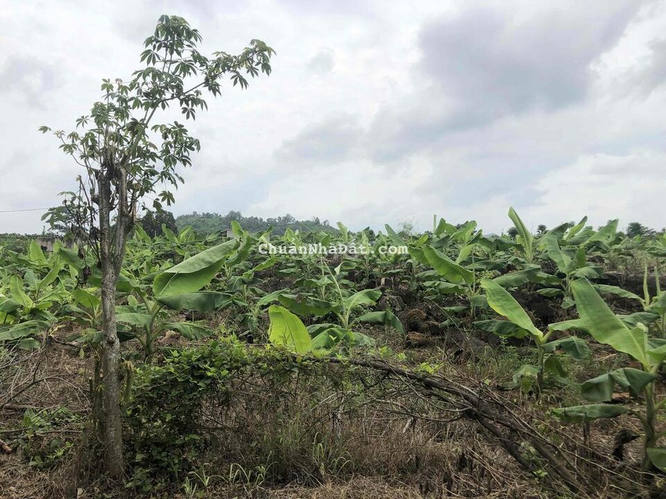 Đầu tư chỉ với 500tr có 1150m2 đất Tân Phú Đồng Nai ô tô vi vu