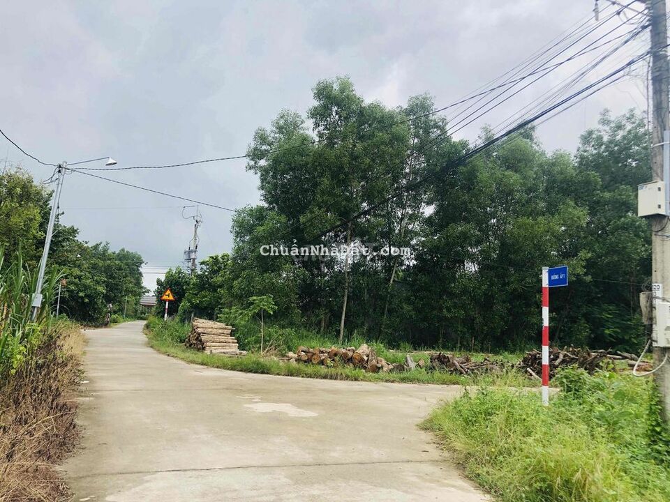 Đầu tư nền thổ cư sổ hồng 5x25 KDC đông chỉ 440tr Đầu tư nền thổ cư sổ hồng 5x25 KDC đông chỉ 440tr