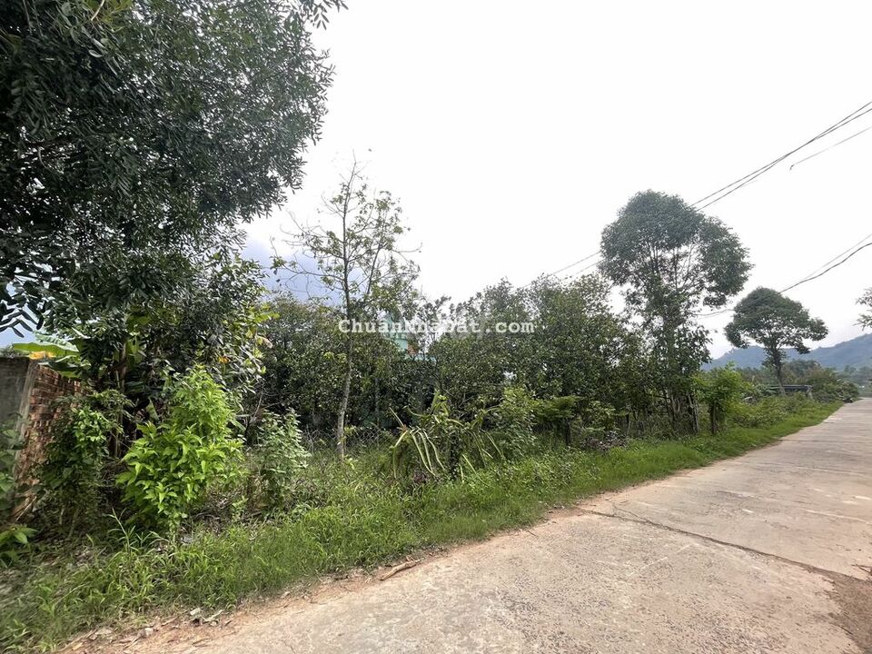 Đất 33x49 Nam Cát Tiên - Tân Phú đường bê tông SR