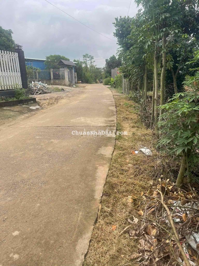 Bán 2000m2 có sẵn 300m2 thổ cư tại Tà Lài- Tân Phú chỉ 1.25 tỷ