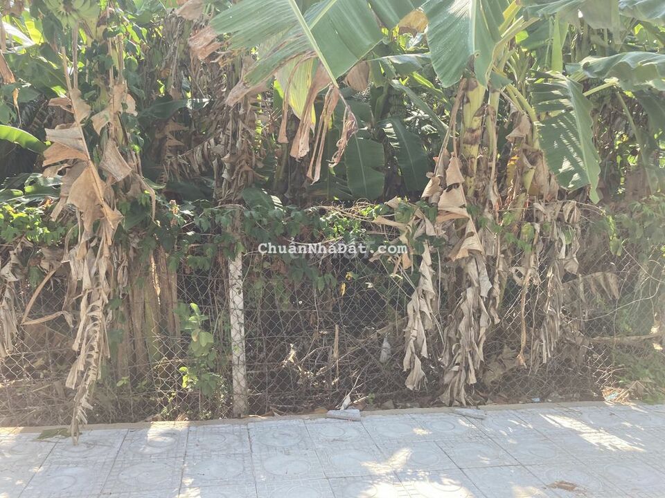 Đất 24 x 79 ODT MT Nguyễn Du - Thị trấn Tân Phú sổ riêng Sát KCN