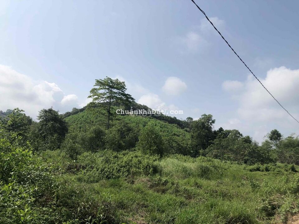 2.7 hecta đất CLN sẵn 300m thổ cư, ao cá 1700m2 chỉ 3 tỷ