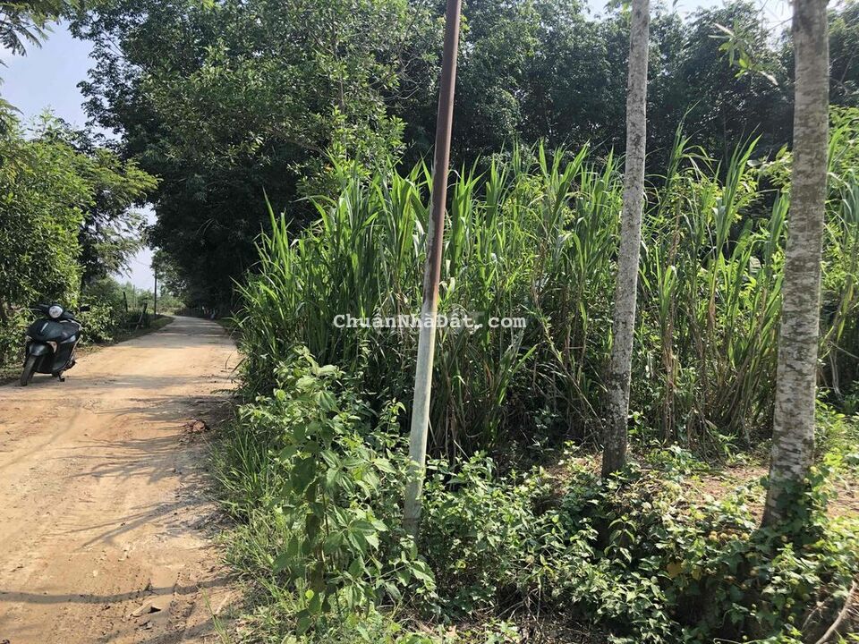 2.7 hecta đất CLN sẵn 300m thổ cư, ao cá 1700m2 chỉ 3 tỷ